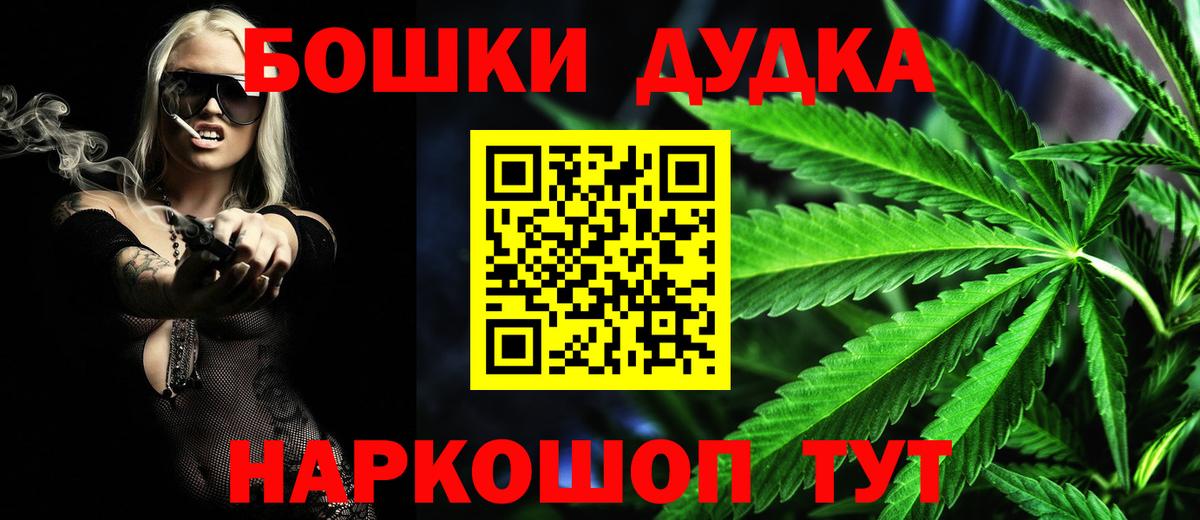 Конопля сатива Бор